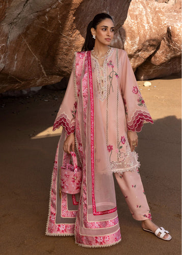 Crimson Floral Crush - D6 B