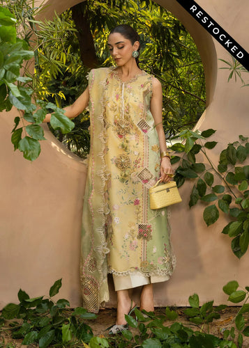 CRIMSON BONJOUR AND BLOOM - D4A