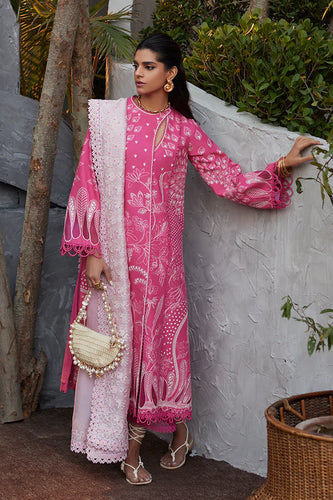 SUFFUSE CASUAL PRET 24 - LAZAIB