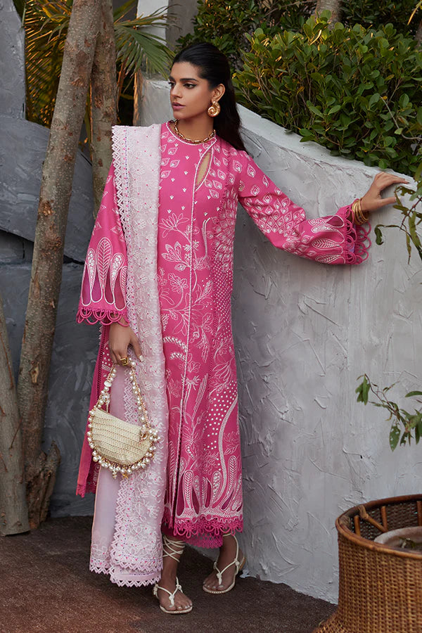 SUFFUSE CASUAL PRET 24 - LAZAIB